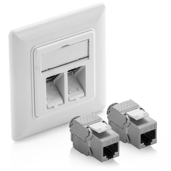 deleyCON Keystone Dose Netzwerkdose mit 2x CAT 6a Keystone Jack Modul RJ45 weiß